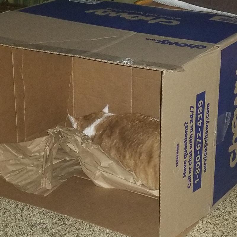Houdini