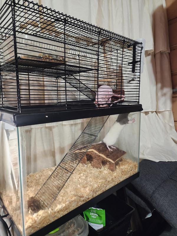 High rise hamster cage best sale