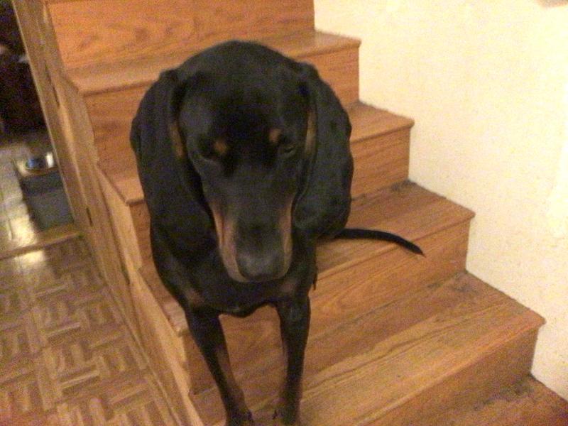 Aren’t I handsome.