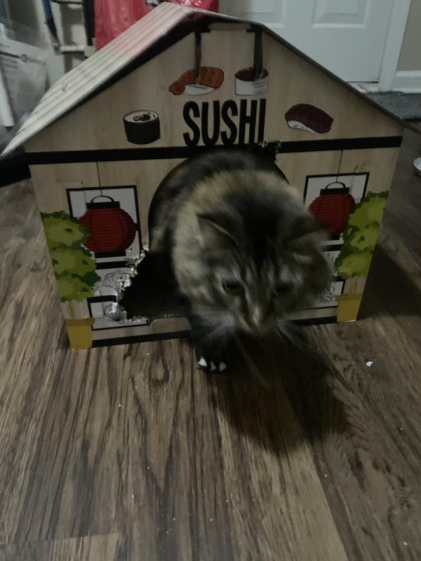 Sushi Cat Toy  Humboldt House