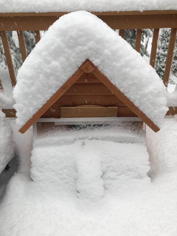 Customized for CT Snow.