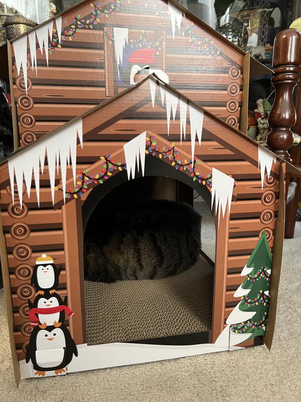 Cody doesn’t want to be disturbed.