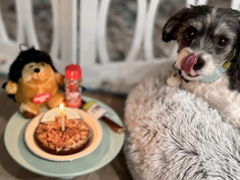 Jack’s birthday celebration