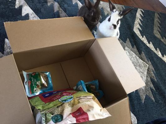 We got a package in the mail!