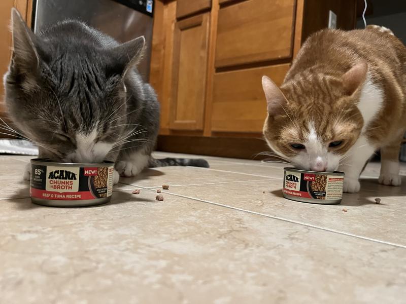 They got a little messy with their food lol