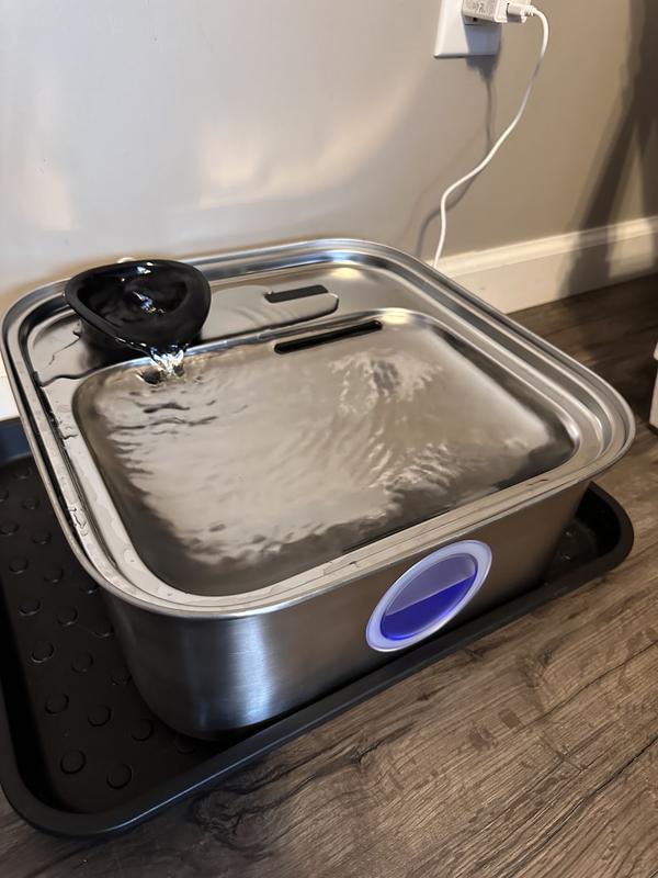 Amazing water flow into the bowl area