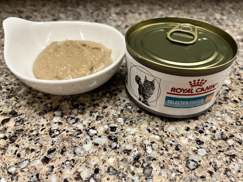 Royal canin selected 2024 protein canned cat food