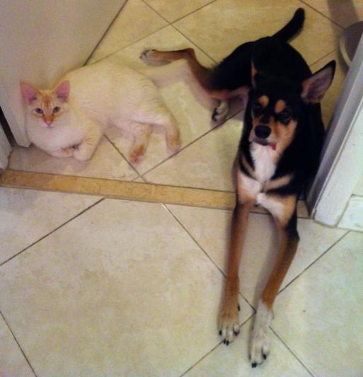 Best buddies