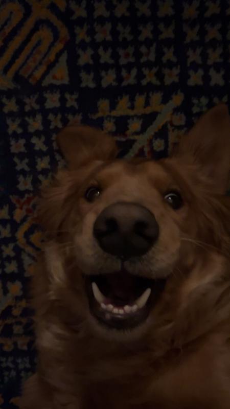 Good thing I’m cute.