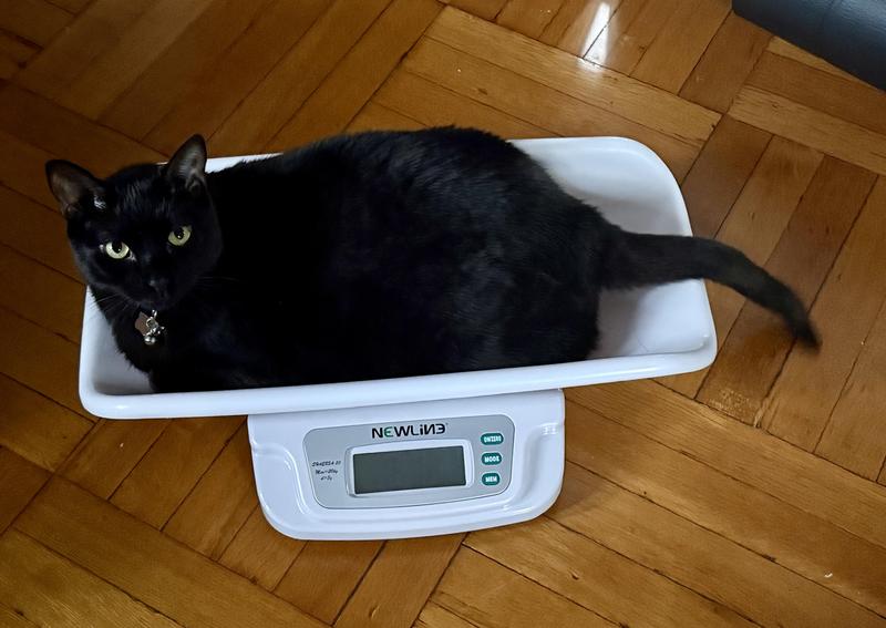 So what ma, I gained.