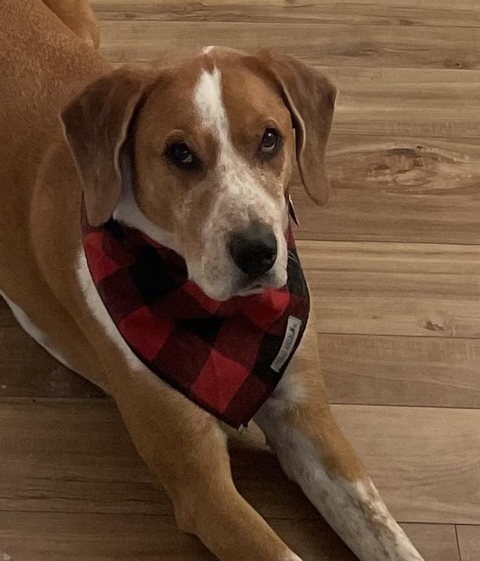 Such a good color on him