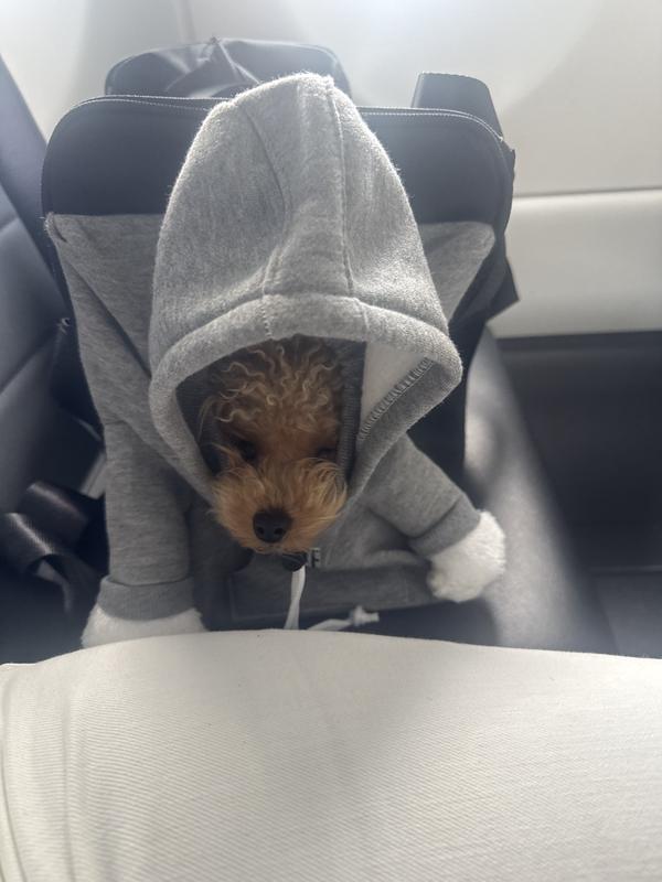 On the plane chillin