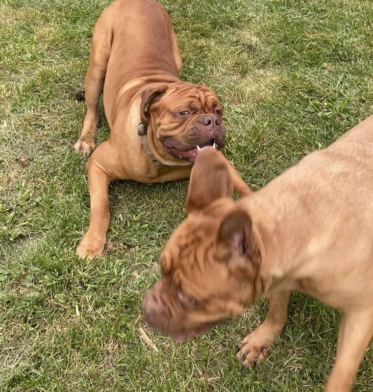 Reuben and Raksha