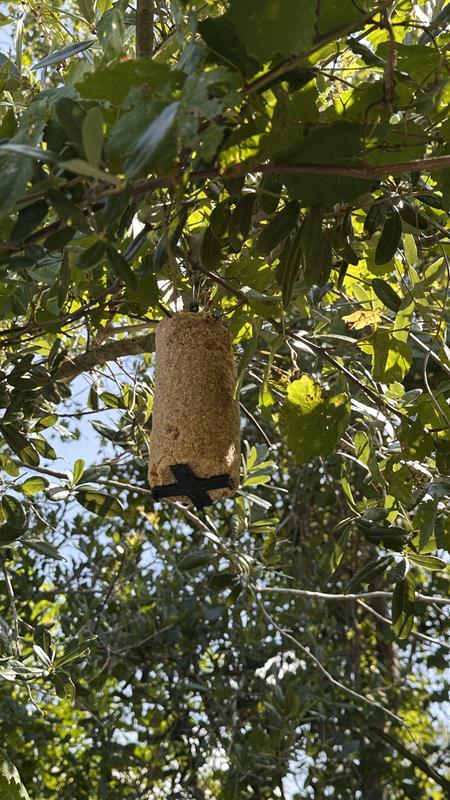 Hangs flawlessly with included wire