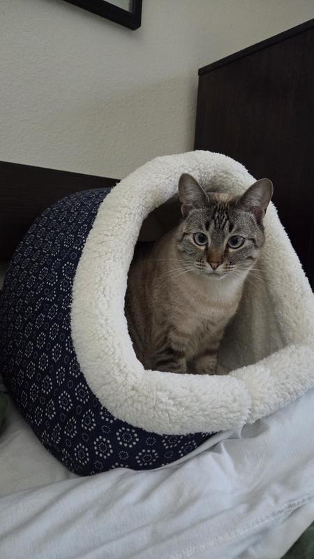 Jane and her new Jane cave