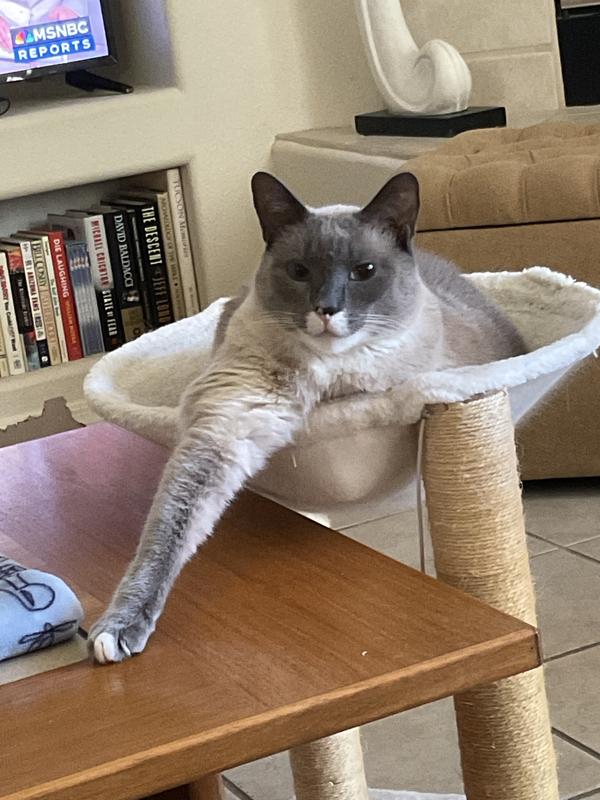 My beautiful baby Oliver