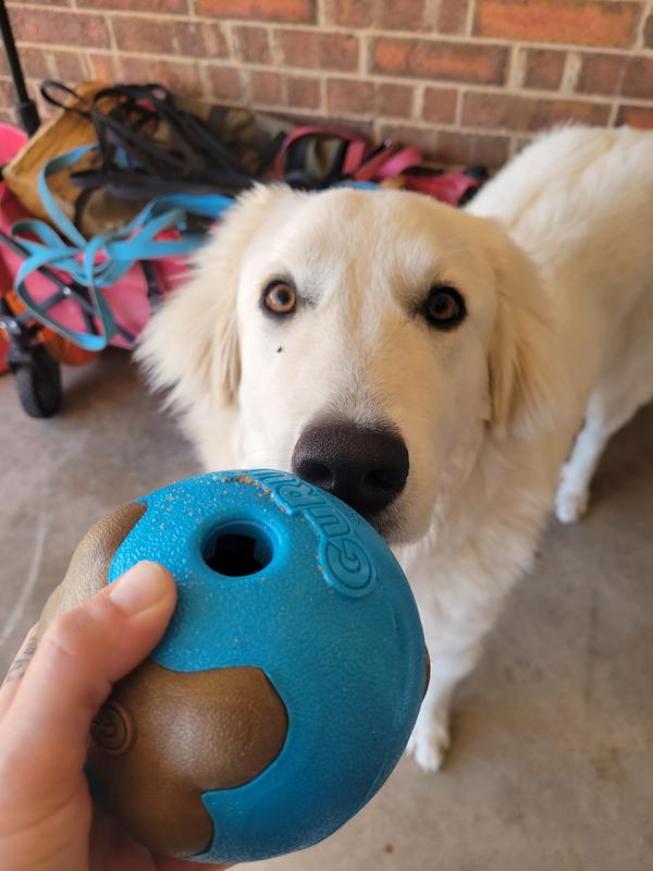 We're interested