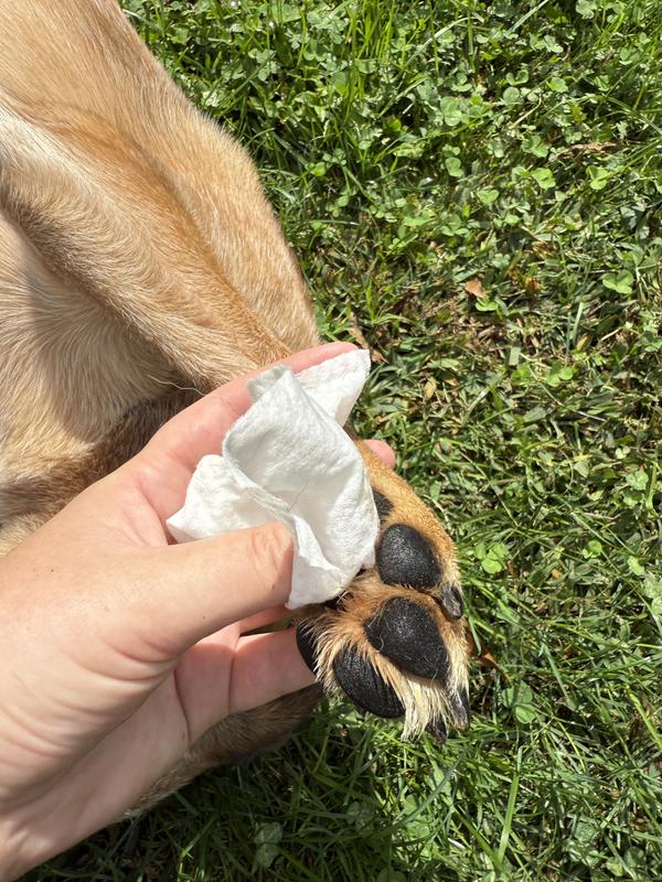 Perfect to wipe paws!