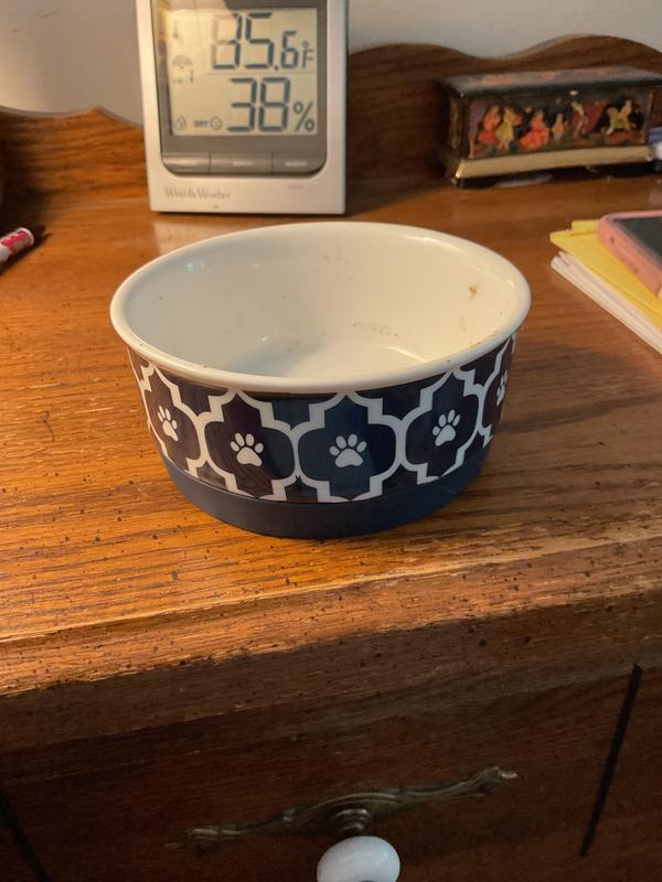 Seems like a cat size