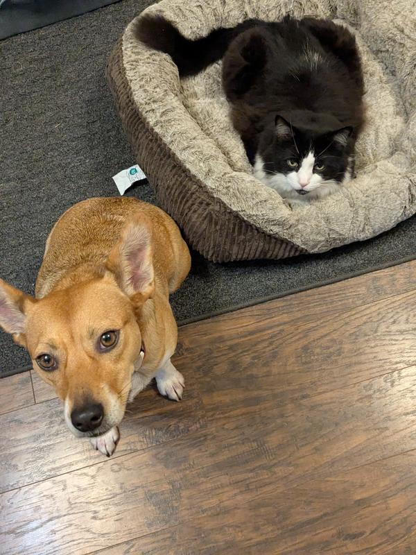 Everybody is stealing my bed, Mom!