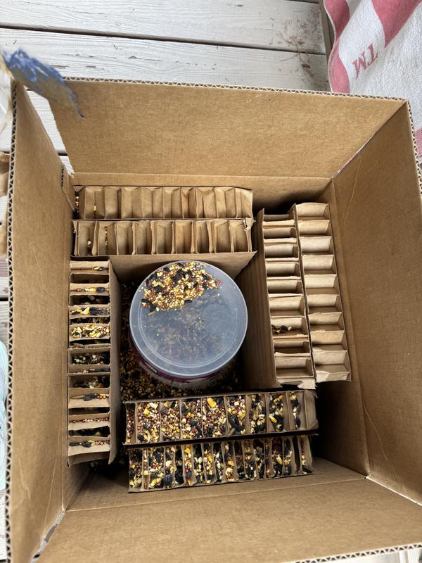 This time was not even taped