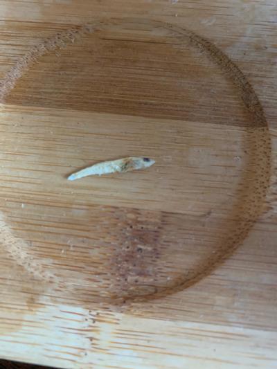 Another fish