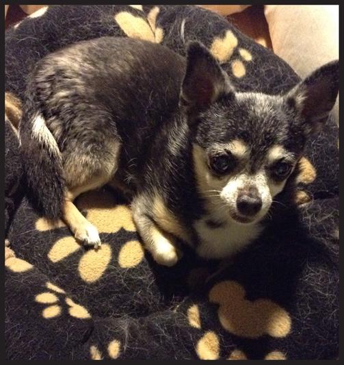 15 year old sweetheart