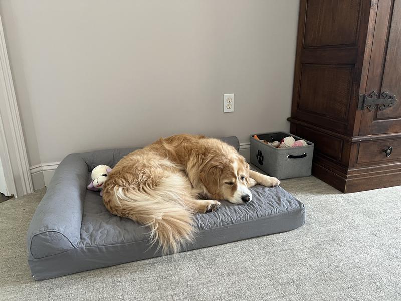 He likes both of them!