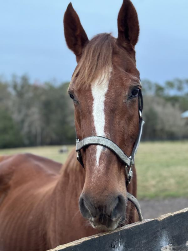 My 33 yr. Young Sissy