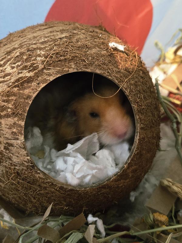 Perfect fit for sleeping.