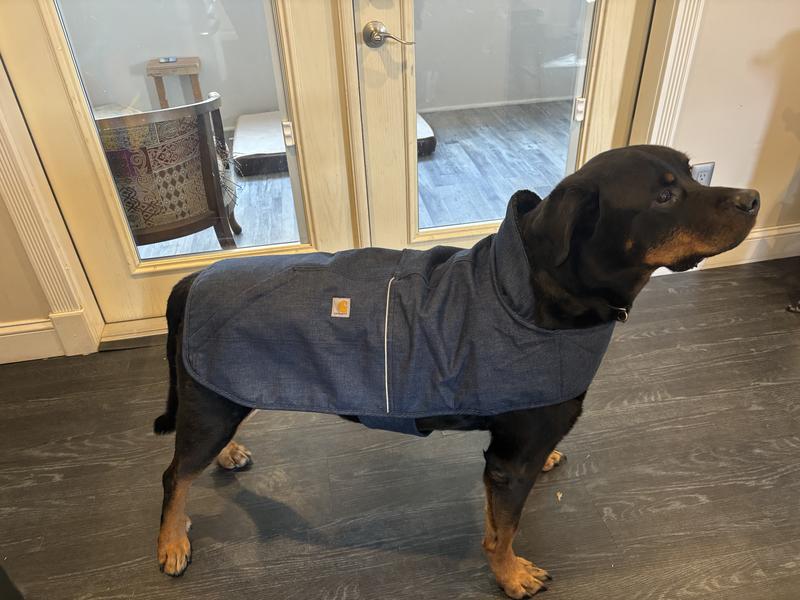 Carhartt Denim Insulated Dog Chore Coat
