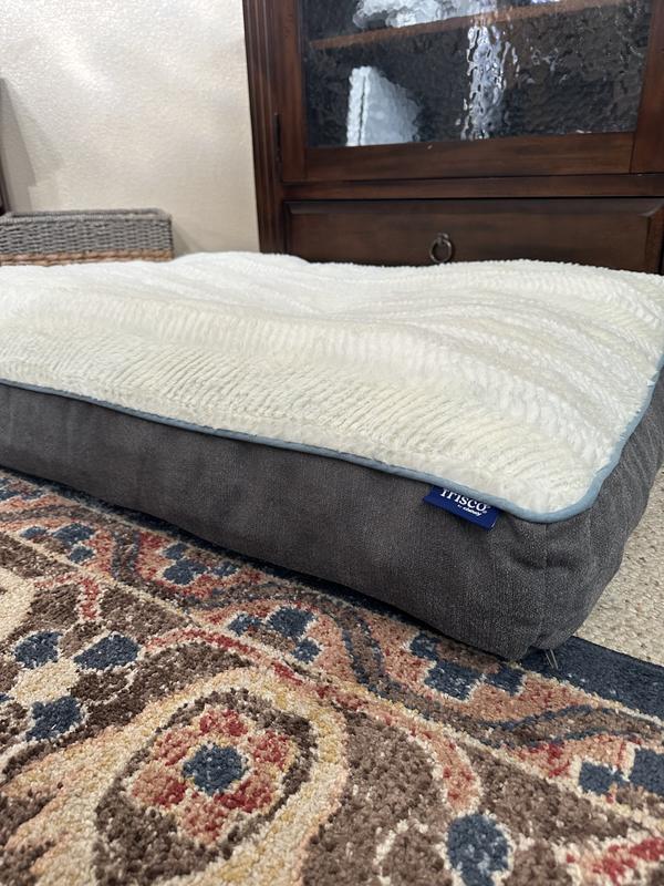 XL dog bed, nice and full