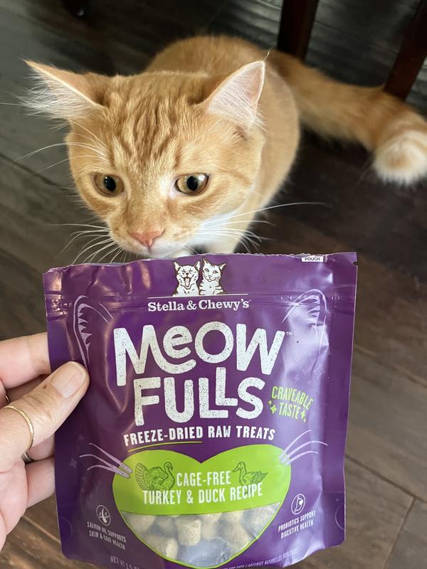 STELLA CHEWY S Meowfulls Turkey Duck Recipe Grain Free Freeze Dried Cat Treats 1.5 oz bag Chewy