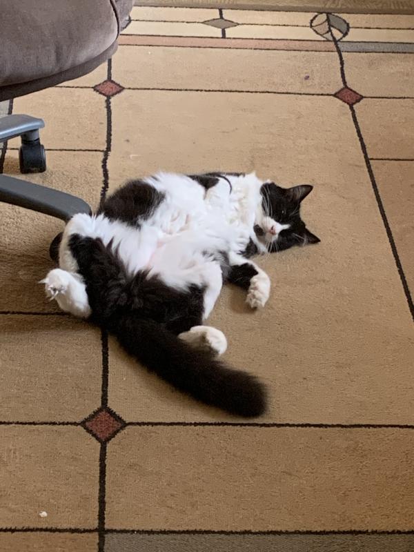 Crash—Deep in thought on the meaning of life.