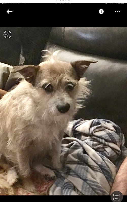 Pippin has one every evening after dinner