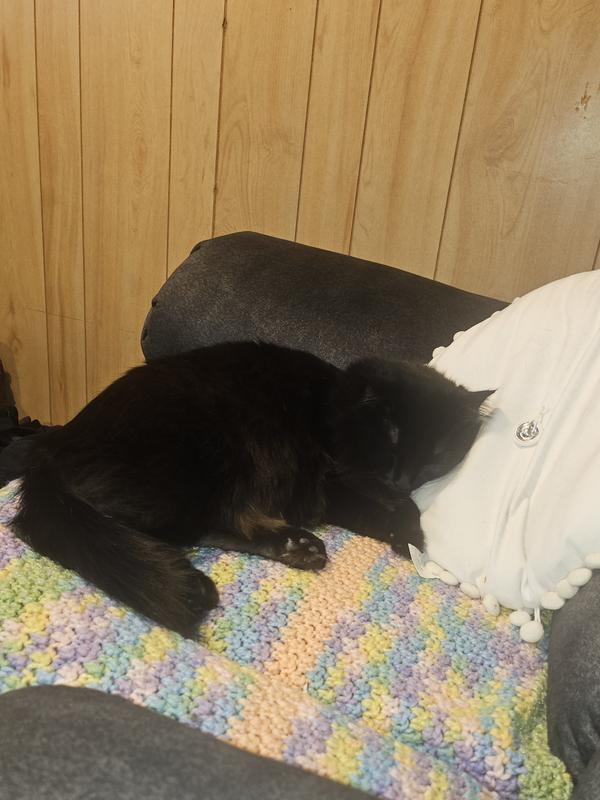 She just curled after her salmon stick