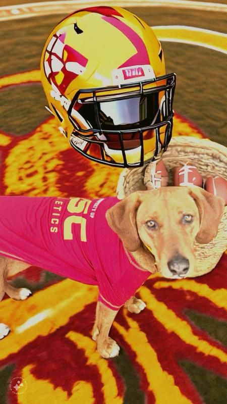 My USC Trojan