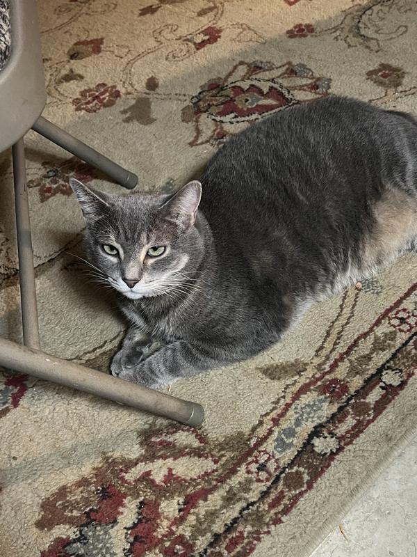 Uncle Al rules the roost but is a gentleman.