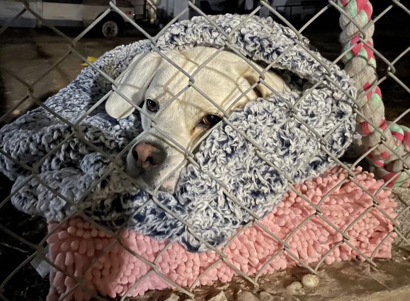 I want to see him in different color combinations.