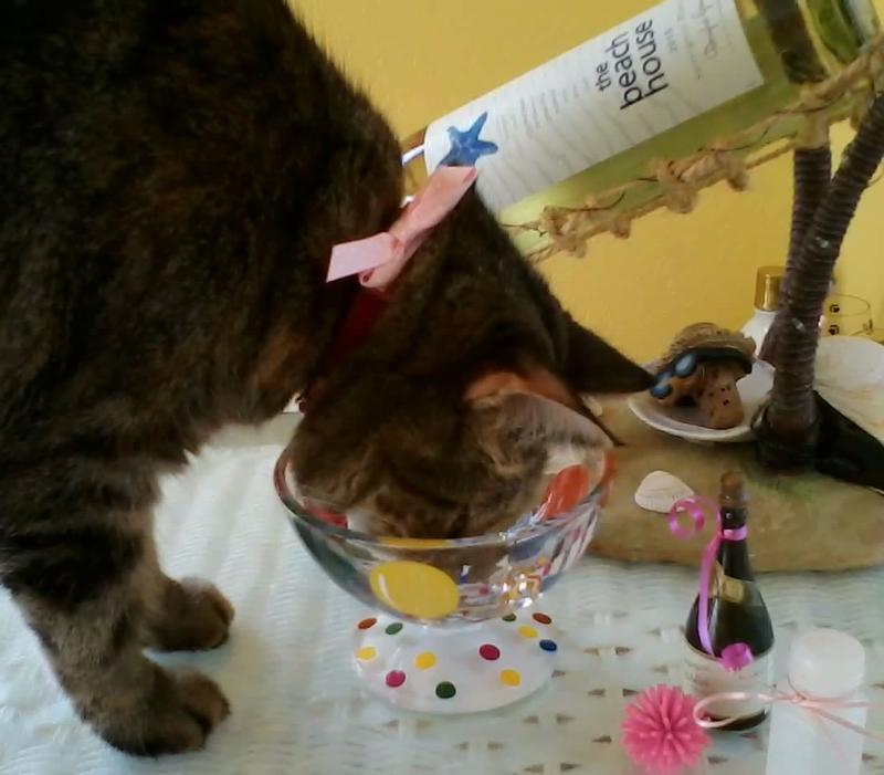 As you can see, this time is a "special occasion"!