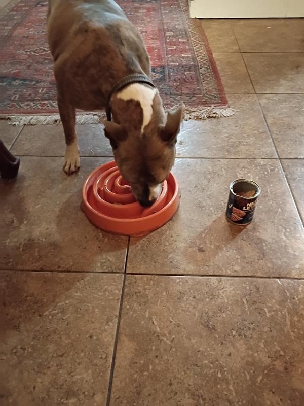 What's this!!  Mom, gimme some! Oohhhh I like this!