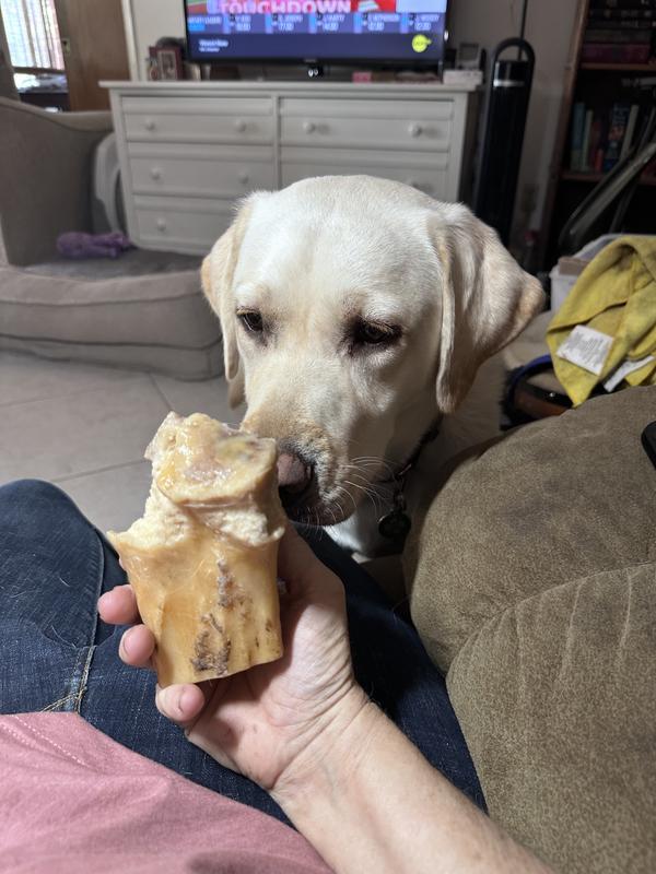 2 weeks of heavy chewing