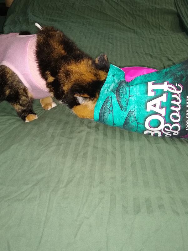 Spare, diving in head first