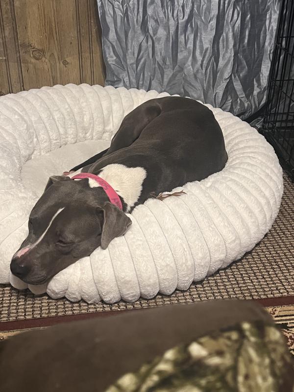 Sorta laid out, she likes it.