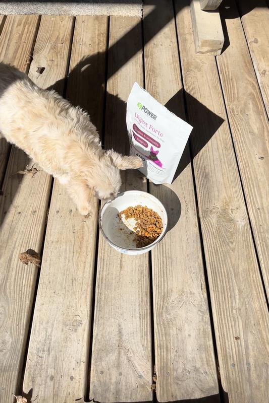 Gidget back to finish