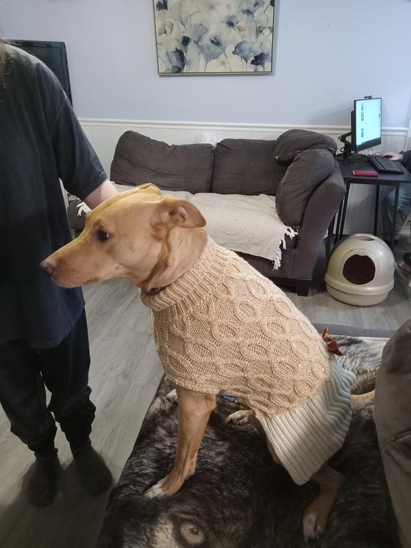 FRISCO Cable Knit Dog & Cat Sweater Dress with Velvet Bow, Medium