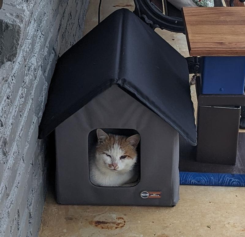 Chewy outdoor 2025 heated cat house