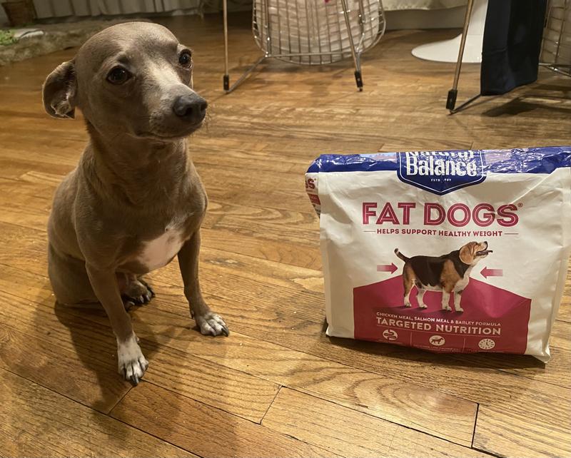 a formerly chunky boy