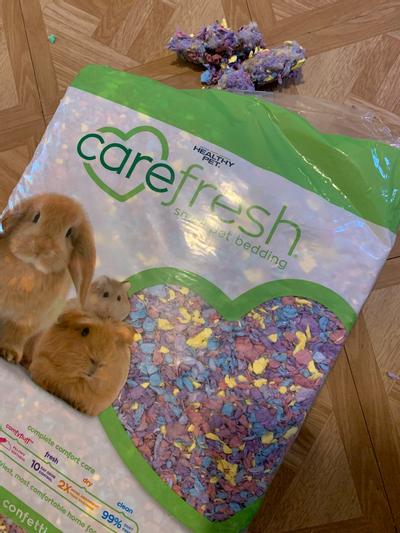 Carefresh bedding clearance chewy