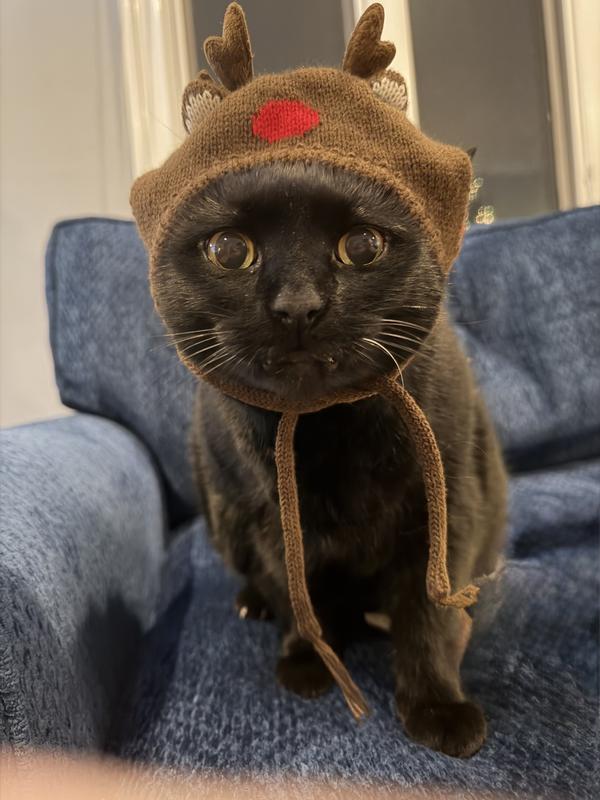 Not so sure about this …